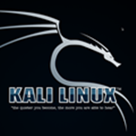 Kali Linux系统 v2020.3 中文纪念版